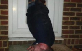 Najbardziej żenujące zdjęcia z Fejsa (GALERIA)