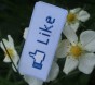 baza.fmix.pl