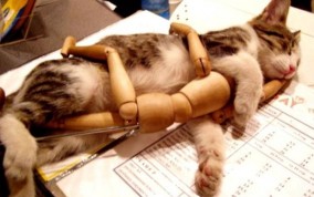 Funny Or Die (BEST OF)